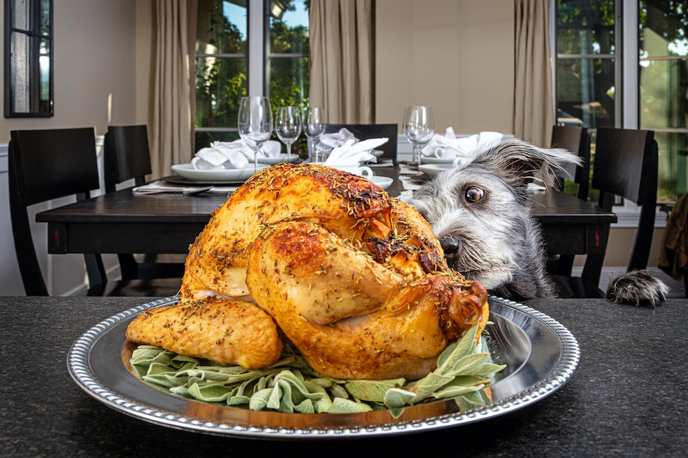 Thanksgiving%20blog%20picture